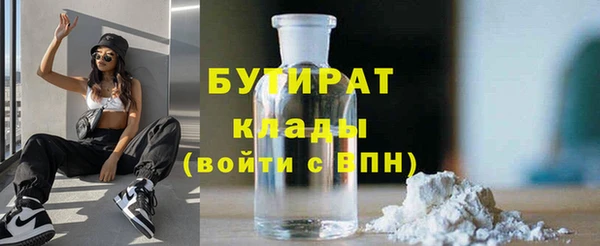 индика Приозерск