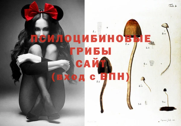 эйфоретик Алзамай