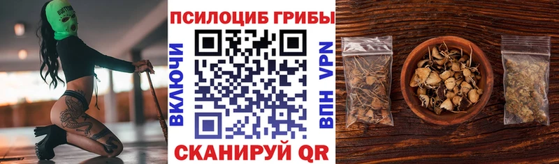 Псилоцибиновые грибы Psilocybine cubensis закладка Льгов